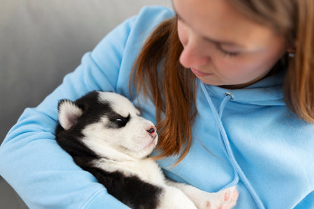 Close-up of woman holding sleeping husky puppy.