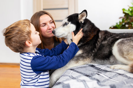 Boy and woman petting Siberian Husky indoorsの写真素材