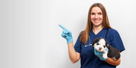 Veterinarian holding puppy and pointingの写真素材
