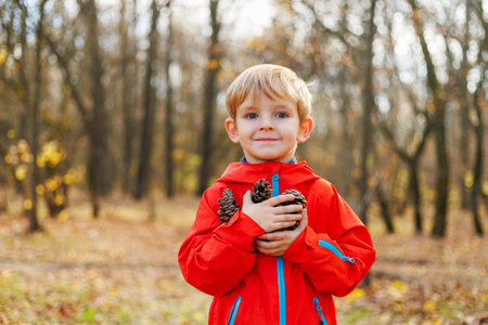 Boy holding pinecones in autumn forestの写真素材