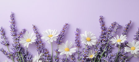 Minimalist mother's day card design featuring fresh lavender and white daisies on a soft lavender background. the floral arrangement exudes a peaceful, joyful atmosphere, perfect for greeting cards, posters, or prints.の素材