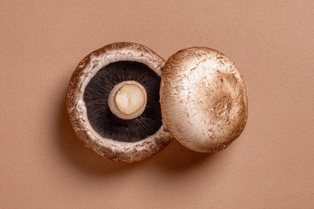 Raw Portobello Mushrooms on Pastel Brown Backgroundの素材