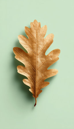Golden Oak Leaf on Pastel Green Background for Product Mockupの素材