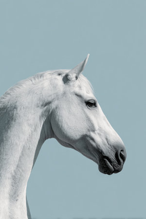 A white horse stands in profile view against a solid pale blue background. The minimalist composition offers ample copy space above and below, highlighting the horse's elegance.の素材