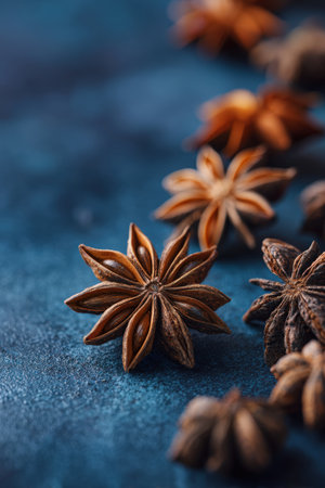 A detailed close-up of star-shaped anise and cloves arranged on a matte navy surface. The image features rich textures and gentle lighting, creating a soft vignette effect.の素材