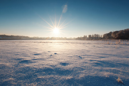A tranquil snowy field with the sun glittering across the surface, creating a soft lens flare. The distant tree line adds depth to this expansive winter landscape, perfect for backdrops.の素材