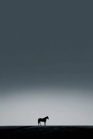 Minimalist poster design featuring a single horse silhouette standing on a horizontal line. The vast gradient sky above provides ample copy space, enhancing the serene composition.の素材