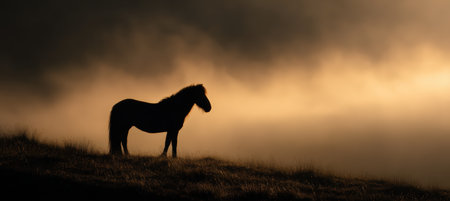 A horse stands silhouetted on a hill as the sun rises, casting golden light on its mane. Rolling fog creates a mystical backdrop, enhancing the serene morning atmosphere.の素材