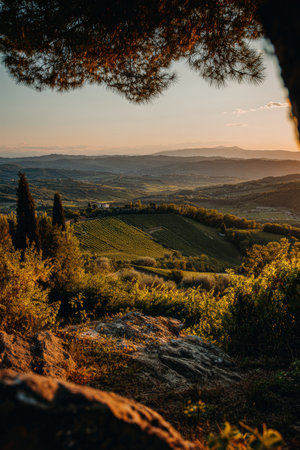 A serene Tuscan landscape at golden hour, featuring lush vineyards under a warm, nostalgic light. The scene captures the essence of Italy's countryside with cinematic framing.の素材