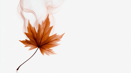 A single maple leaf crafted from delicate smoke lines, softly glowing against a white background. Ideal for fall-themed packaging or editorial layouts with a minimalist touch.の素材