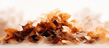 A cozy, abstract depiction of a fallen autumn leaf pile formed from soft, layered smoke in warm tones. The glowing effect on a white background is perfect for seasonal campaigns.の素材