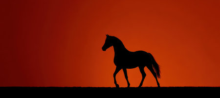 Silhouette of Arabian Horse on Red-Orange Backgroundの素材