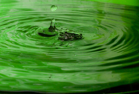 Pure greenの写真素材