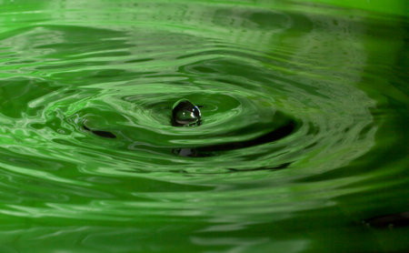 Pure greenの写真素材