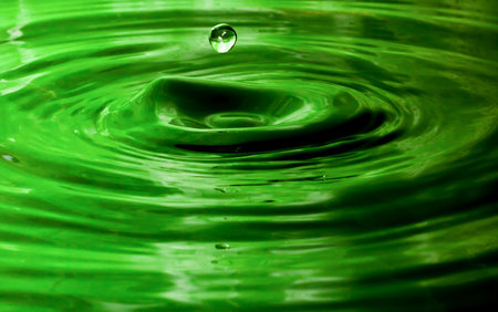 Pure green の写真素材