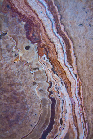 Stone pattern.の写真素材
