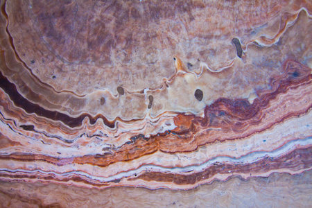 Stone pattern.の写真素材
