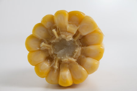 Yellow corn  の写真素材