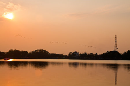 The sky with the birds.の写真素材