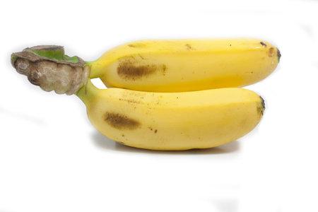 Banana の写真素材