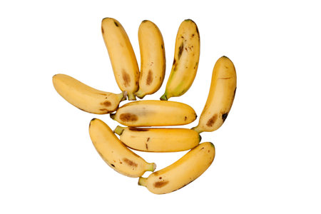 Banana の写真素材