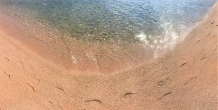 Texture background Footprints of human feet on the sand near the water on the beachの写真素材