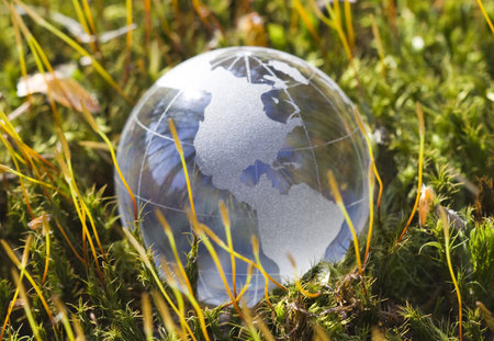 Crystal globe in forest
