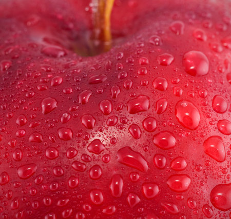 Red apple with water drops macro shotの写真素材