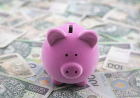 Piggy bank on polish moneyの写真素材