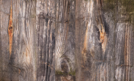 Old wood texture horizontal backgroundの写真素材