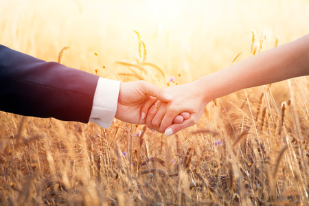 Wedding couple holding hands over ears of cornの写真素材