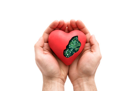 Red computer heart in hands isolated on white with clipping pathの写真素材
