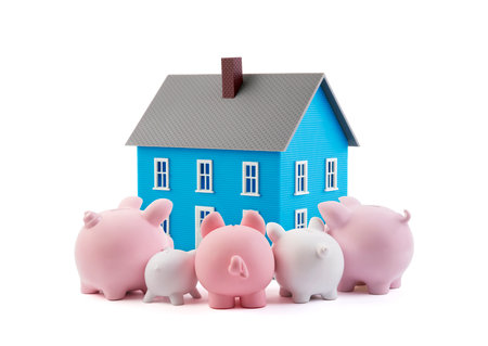 Group of piggy banks looking at the blue houseの写真素材