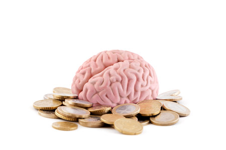 Human brain with coins on white backgroundの写真素材