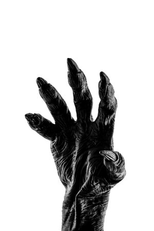 Creepy monster hand isolated on white background with clipping pathの写真素材