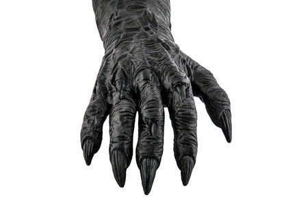 Creepy monster hand isolated on white backgroundの写真素材