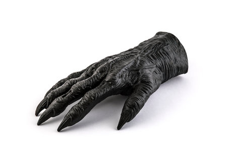 Severed monster hand on white backgroundの写真素材
