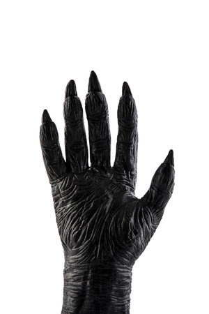 Creepy monster hand isolated on white backgroundの写真素材