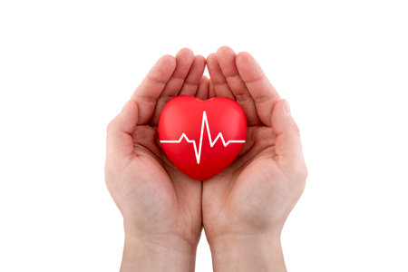 Red heart with pulse in hands isolated on white background with clipping pathの写真素材