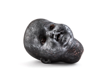 Old creepy doll head on white backgroundの写真素材