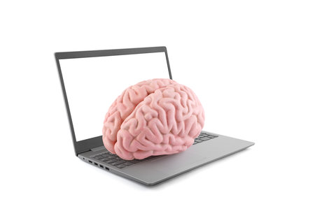 Human brain on laptop isolated on white backgroundの写真素材