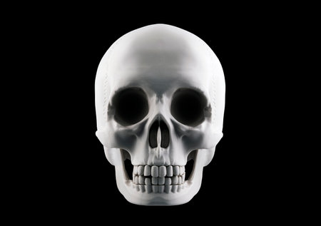 Human skull isolated on black backgroundの写真素材