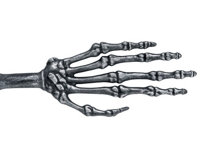 Spooky halloween skeleton hand isolated on white background with clipping pathの写真素材