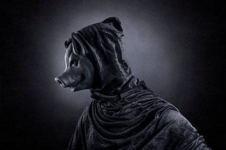 Pig in hooded cloak at night over dark misty backgroundの写真素材