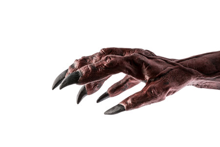 Zombie hands isolated on white background. Halloween theme. Copy space.の写真素材