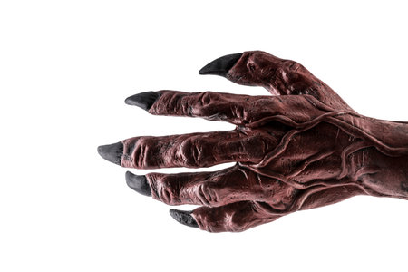 Zombie hand isolated on white background with clipping path. Halloween theme.の写真素材