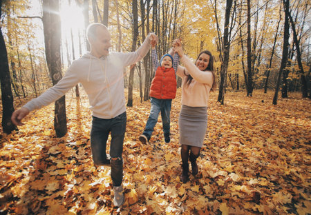 Dad and mom raised their son upside and walking along the park path. Happy family resting in the park in sunny day.の写真素材