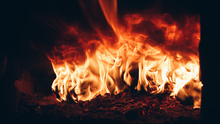 Burning logs in blazed flames of the fireplace.の写真素材