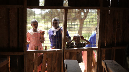 KENYA, KISUMU - MAY 20, 2017: Beautiful African boys peer into a house through the lattice on window.のeditorial素材