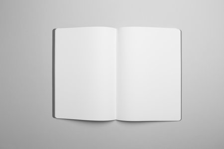 Open canvas  Book Mock-up, ready to replace your design.